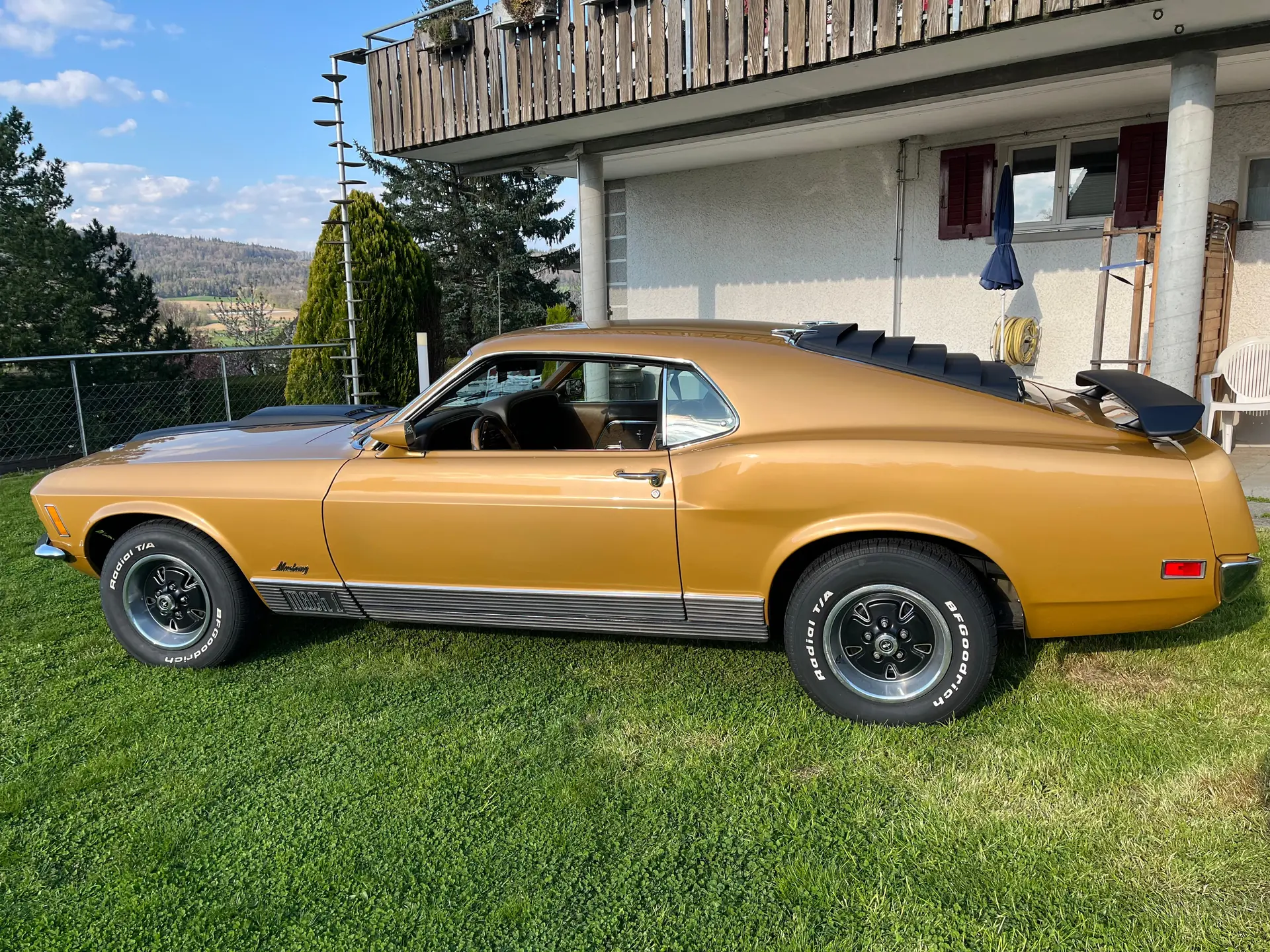 Ford Mustang 1969 occasion Dänikon — 2