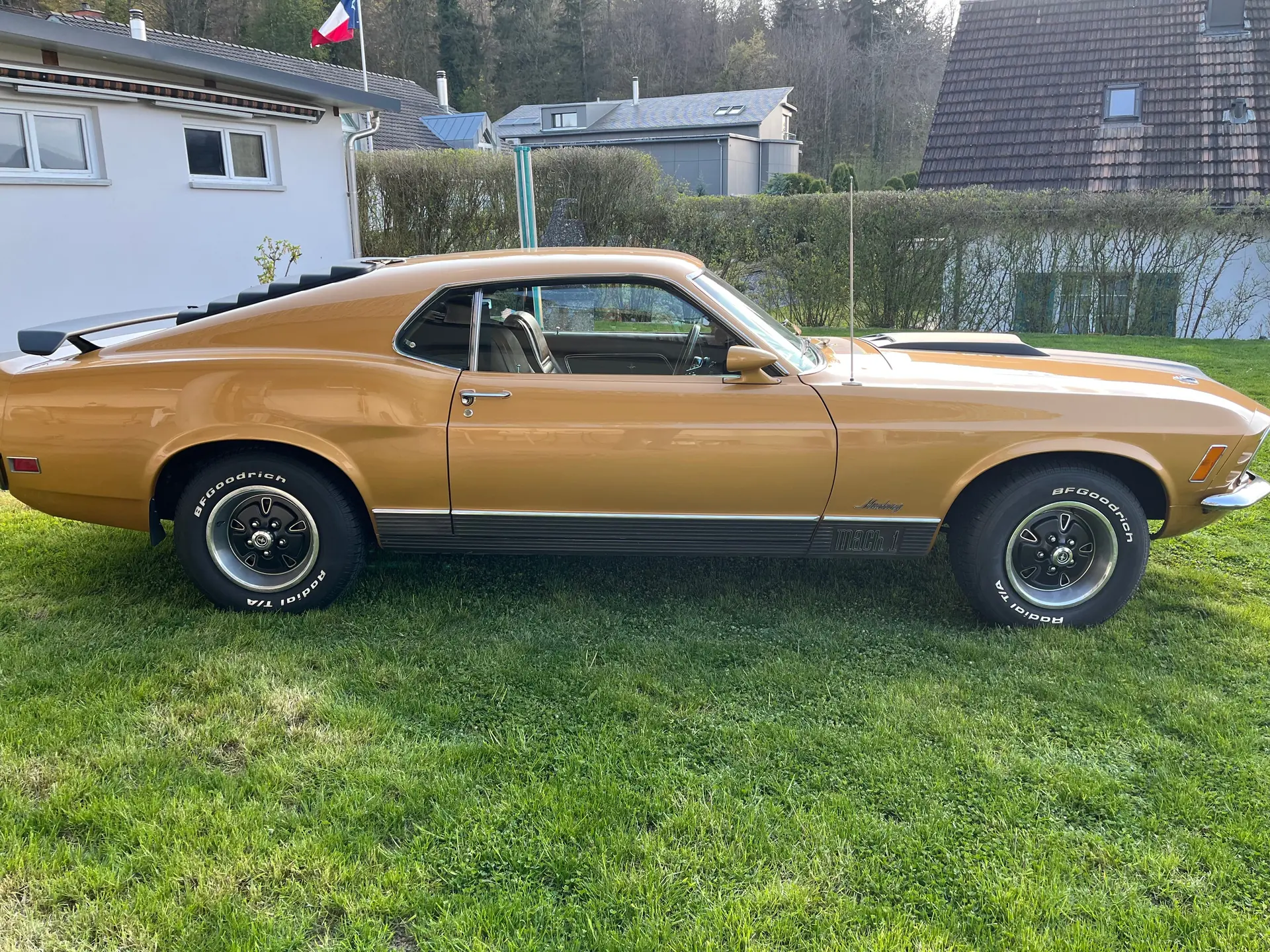 Ford Mustang 1969 occasion Dänikon — 4