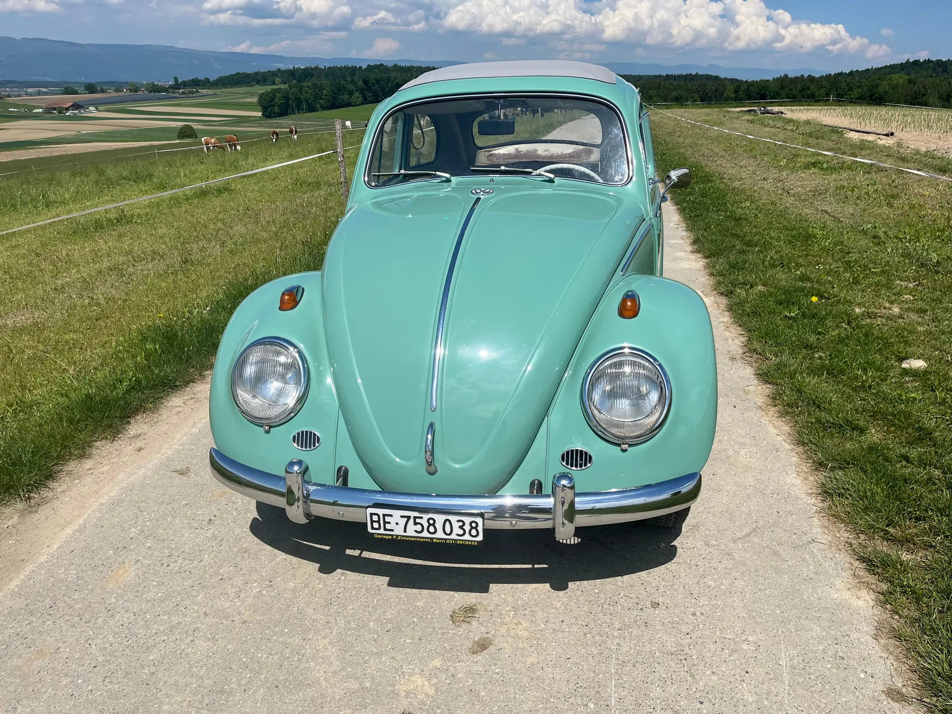 Volkswagen Kafer occasion Kerzers — 2