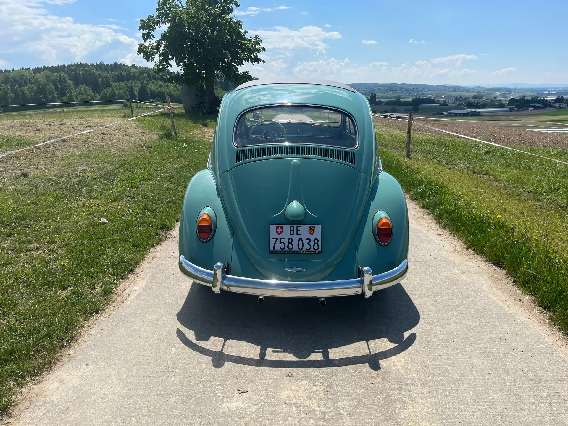 Volkswagen Kafer occasion Kerzers — 4