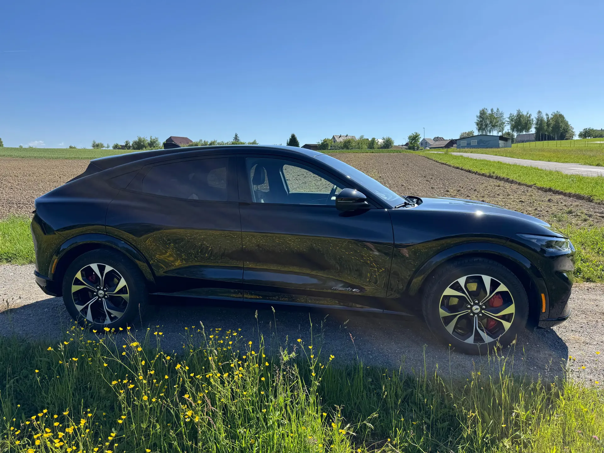 Ford Mustang Mach-E 2022 occasion Zihlschlacht — 2