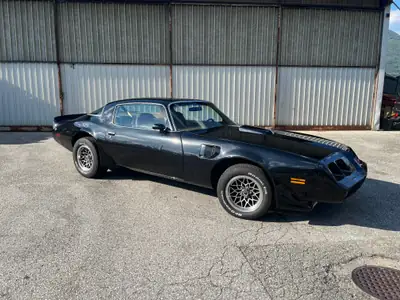 Pontiac Firebird Trans-AM 403 1979 — Muscle car américain culte, 90'000 km — Außenansicht