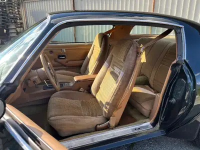 Pontiac Firebird Trans-AM 403 1979 — Muscle car américain culte, 90'000 km — Innenraum