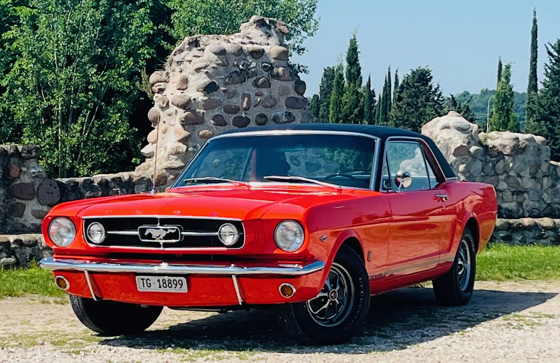 Ford Mustang 1965 occasion Fruthwilen — 3
