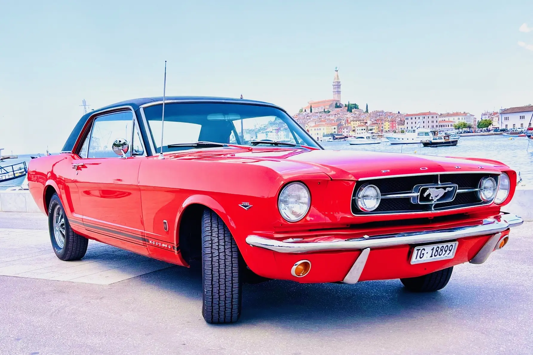 Ford Mustang 1965 occasion Fruthwilen — 2