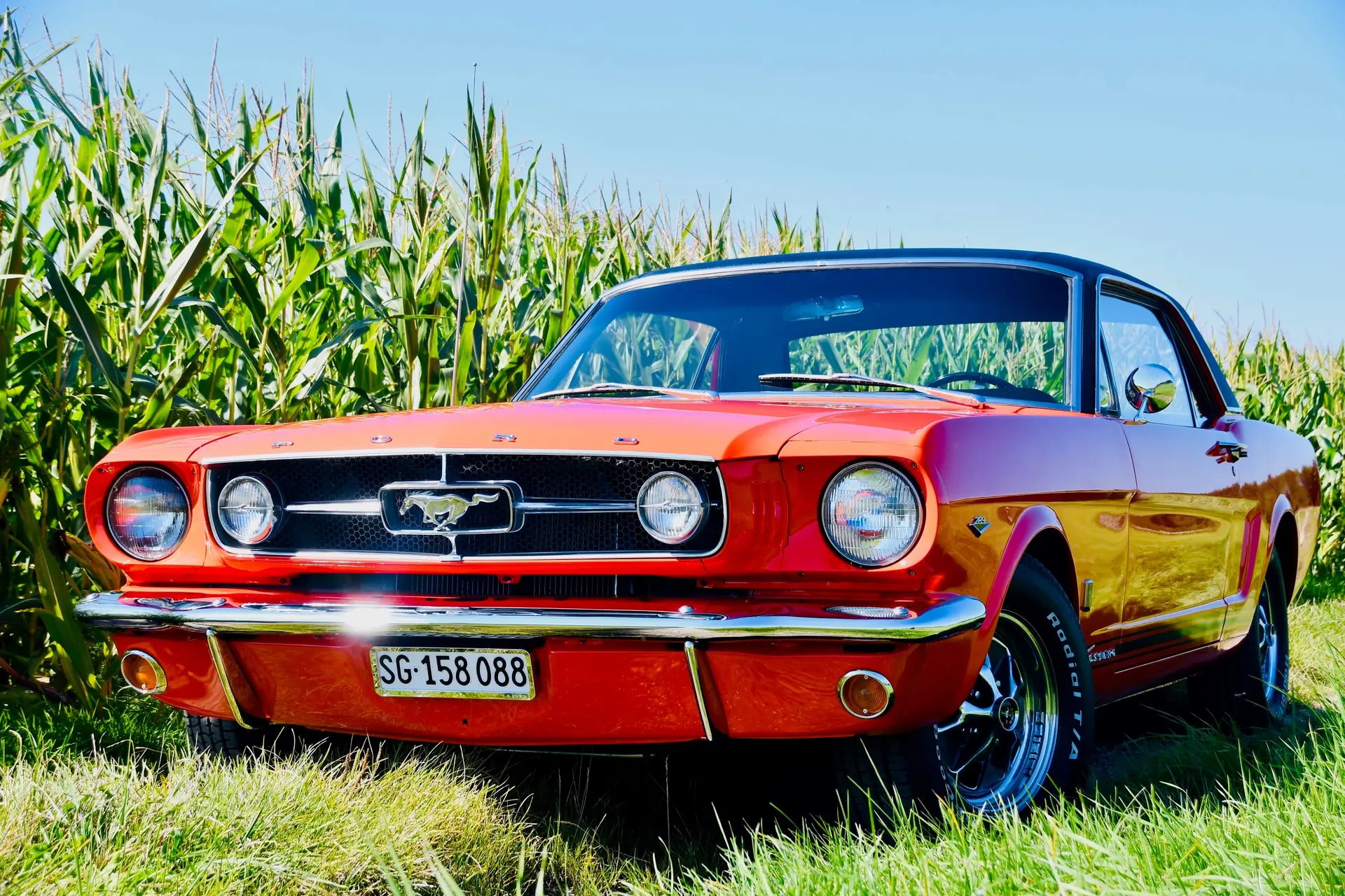Ford Mustang GT Coupé 1965 — Légende américaine, 228 ch et seulement 39'000 km