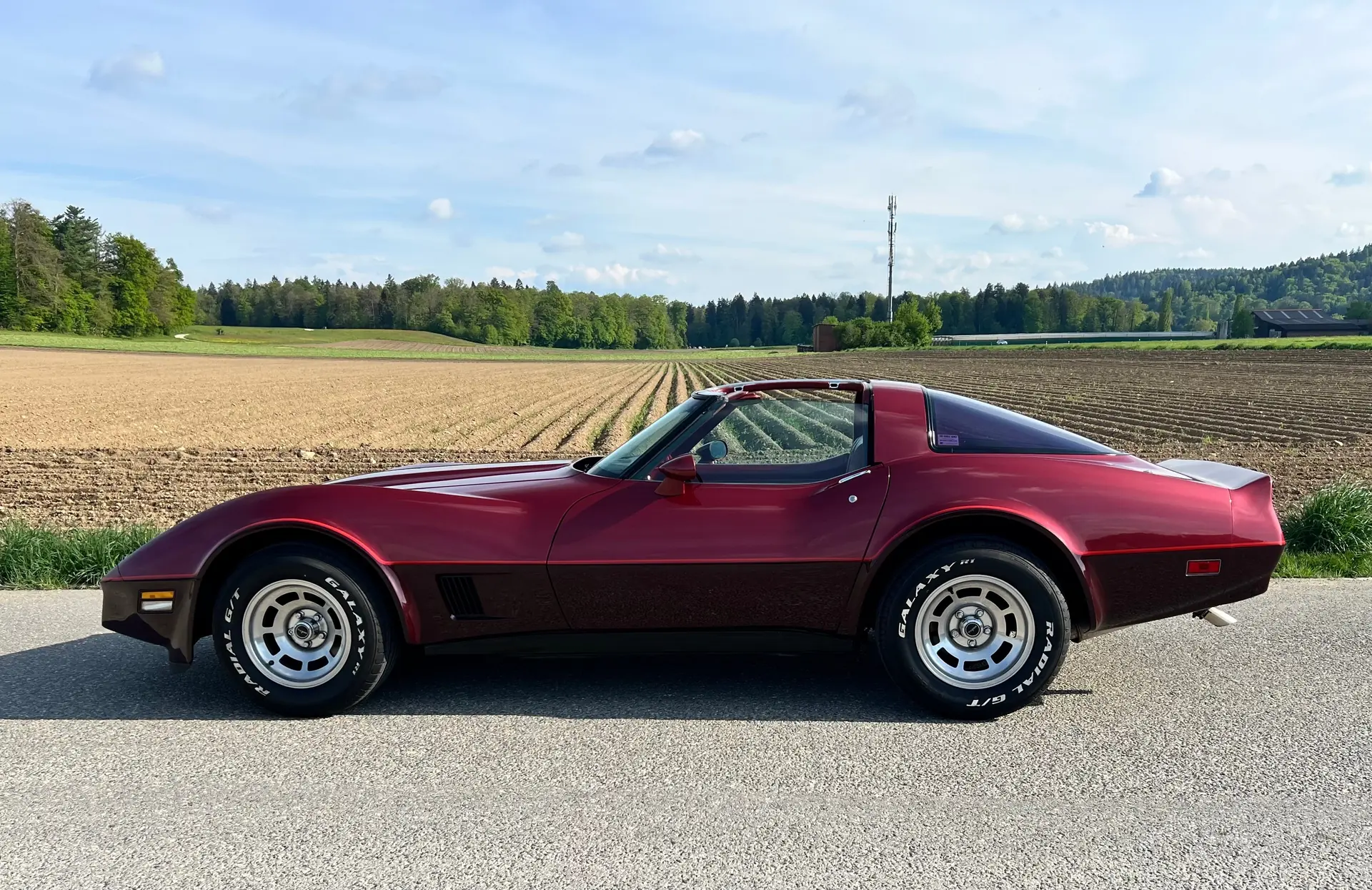Chevrolet Corvette 1981 occasion Schafisheim — 2