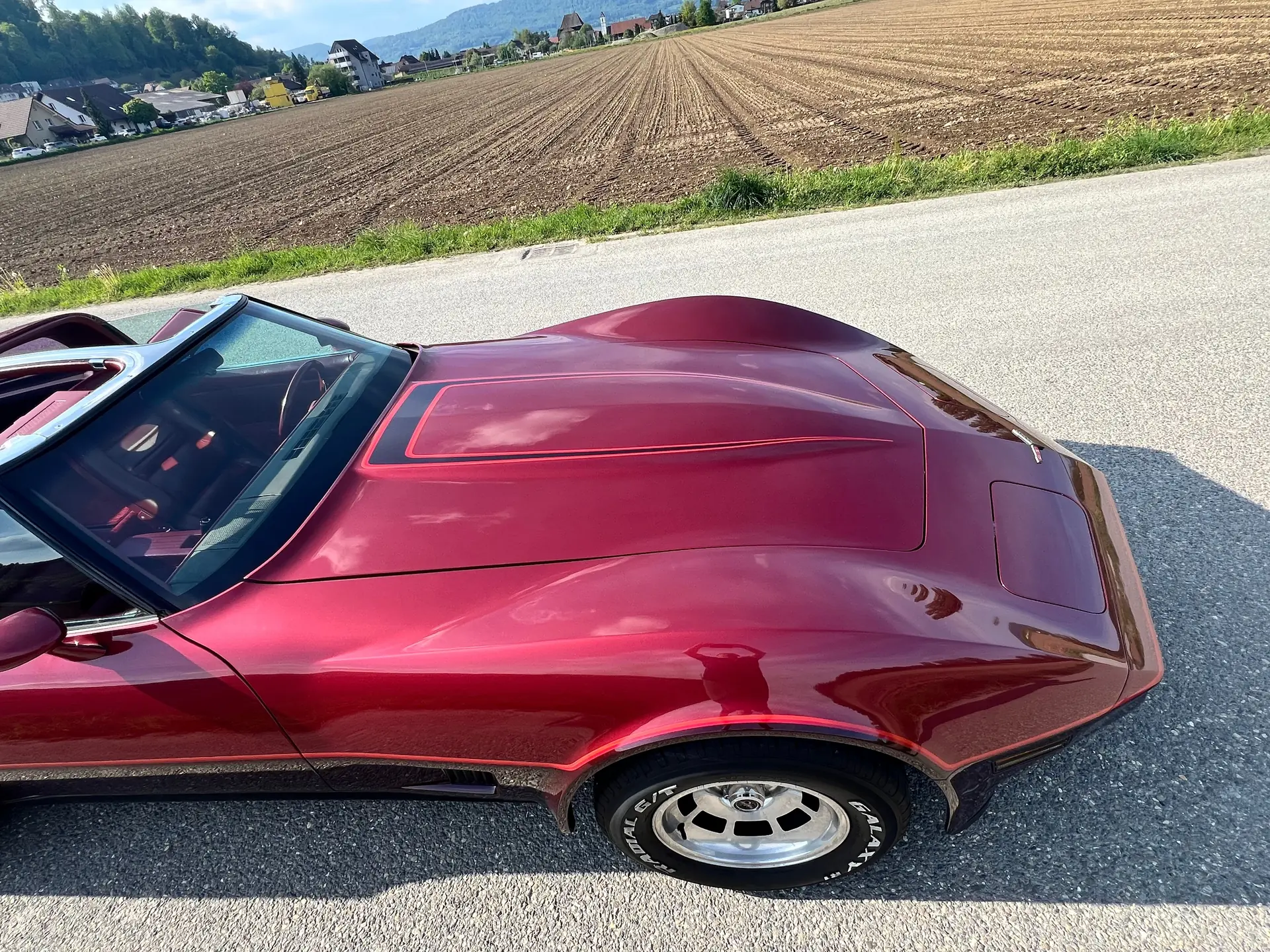 Chevrolet Corvette 1981 occasion Schafisheim — 5