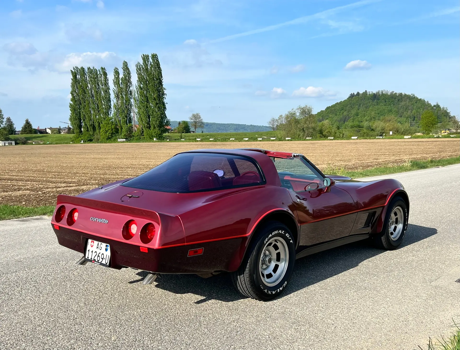 Chevrolet Corvette 1981 occasion Schafisheim — 4