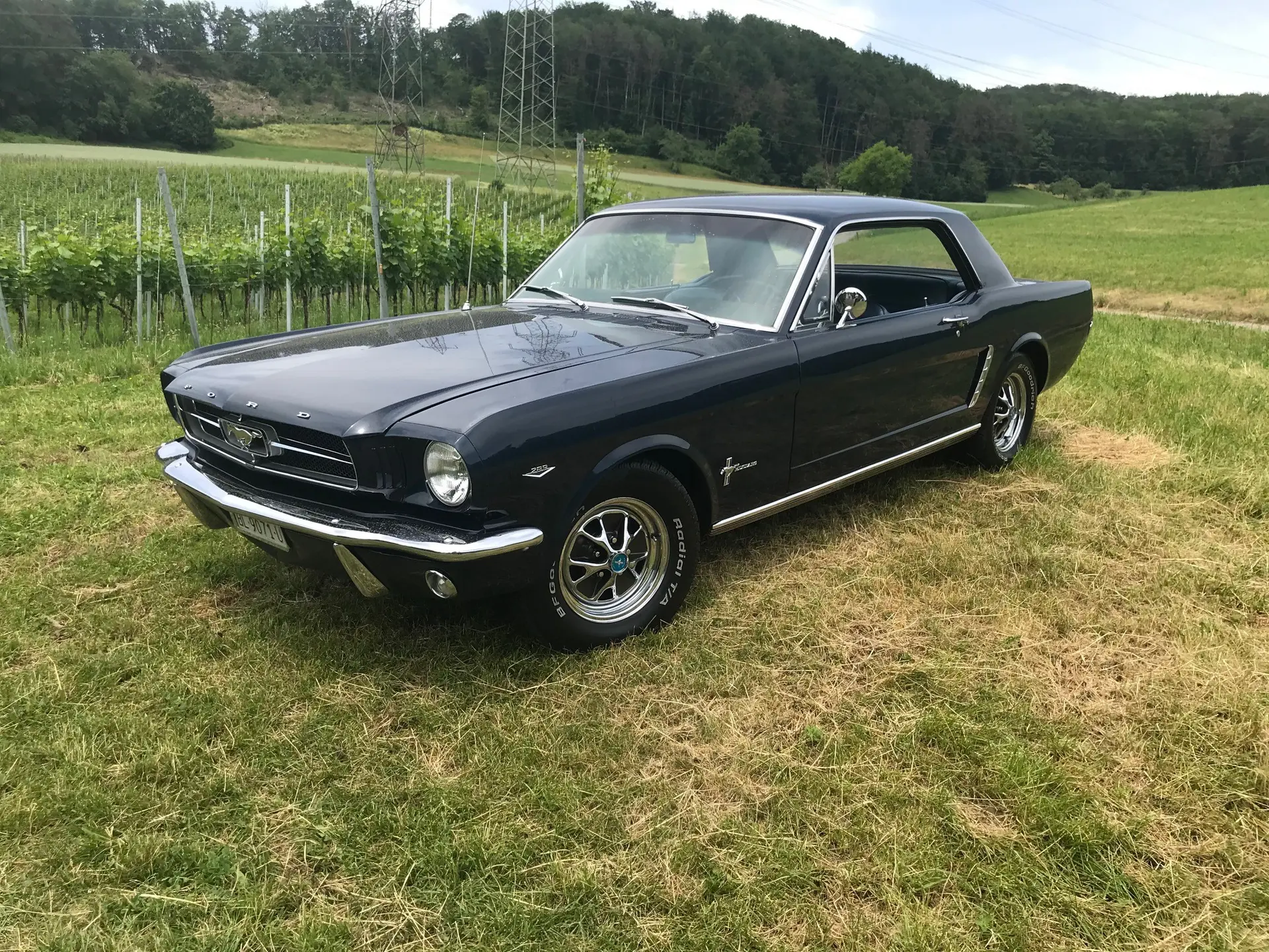 Ford Mustang 1964 occasion Gelterkinden — 3