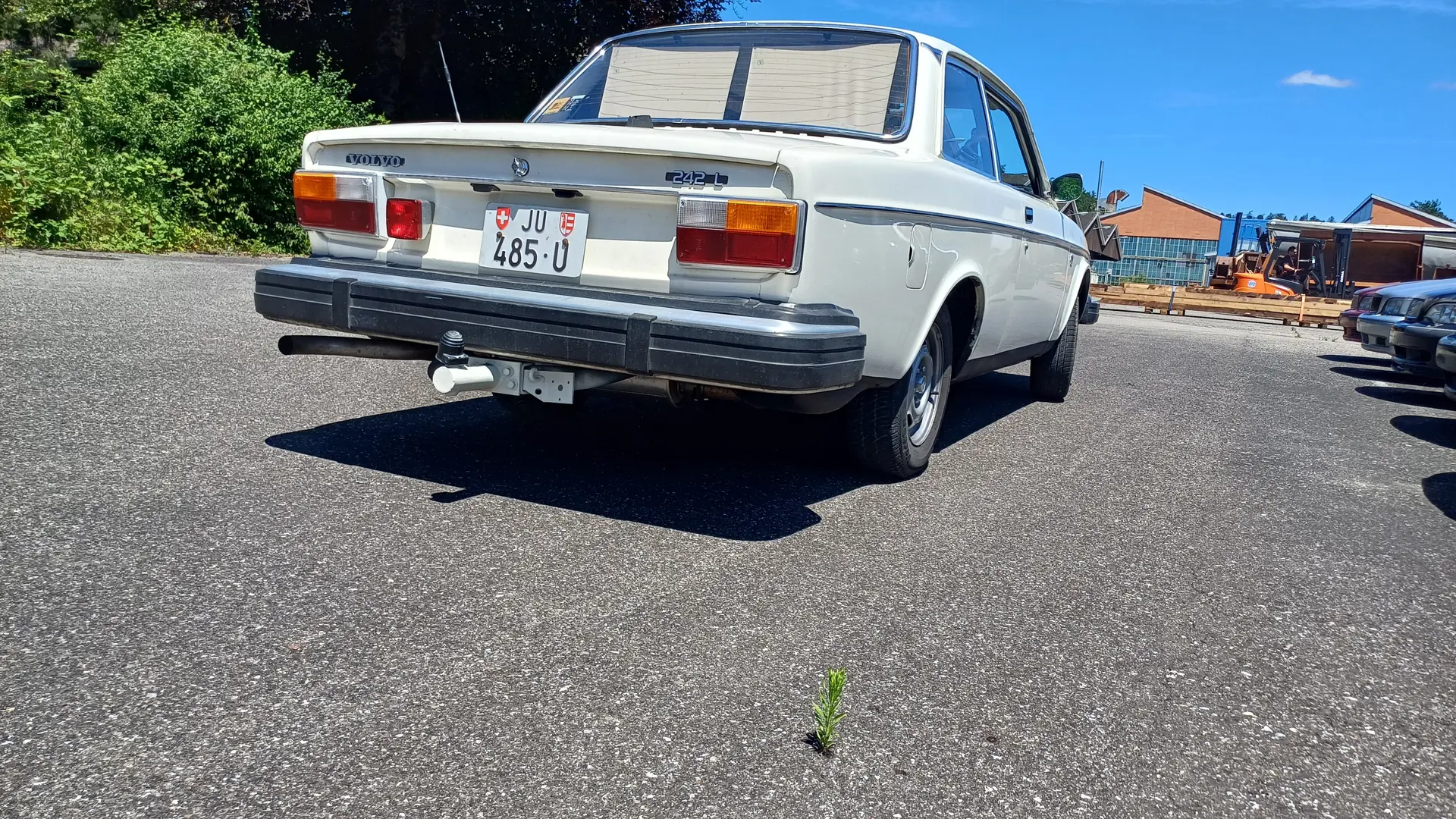 Volvo 240 1976 occasion Charmoille — 2