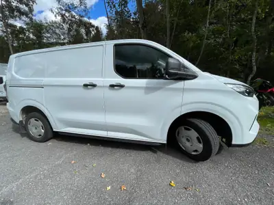 Ford Transit Custom 320 L1H1 — Utilitaire 4x4 diesel, équipé et peu kilométré — arrière