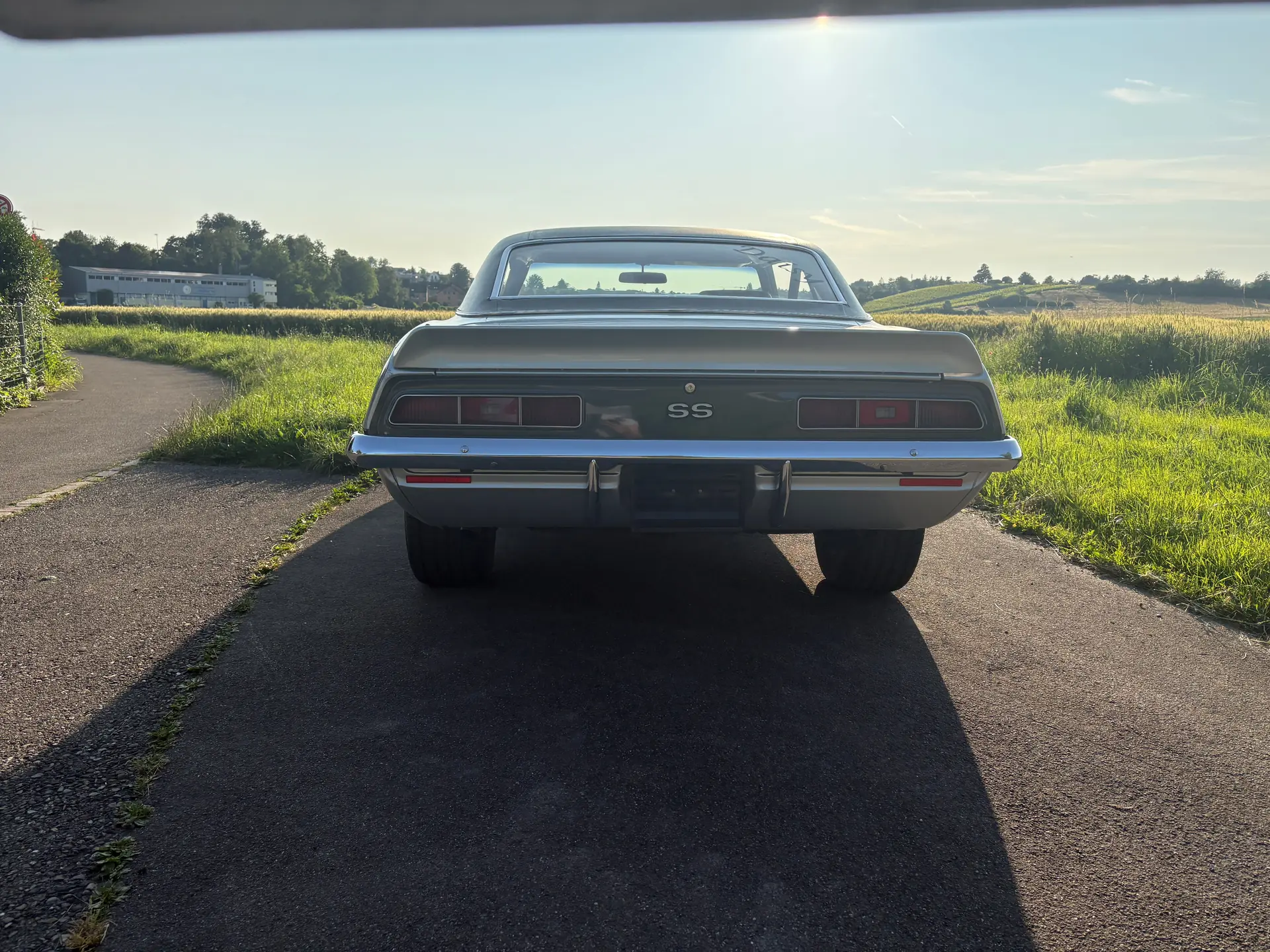Chevrolet Camaro 1969 occasion Brüttisellen — 4