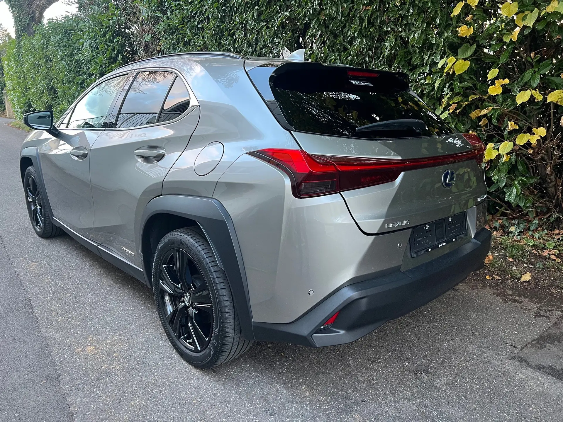 Lexus UX 2021 occasion heremence — 2