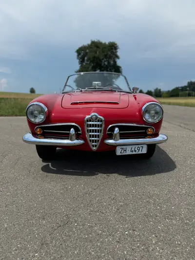 Alfa Romeo Giulia Spider 1600 — Cabriolet vintage 1964, sans accident, patrimoine automobile — arrière