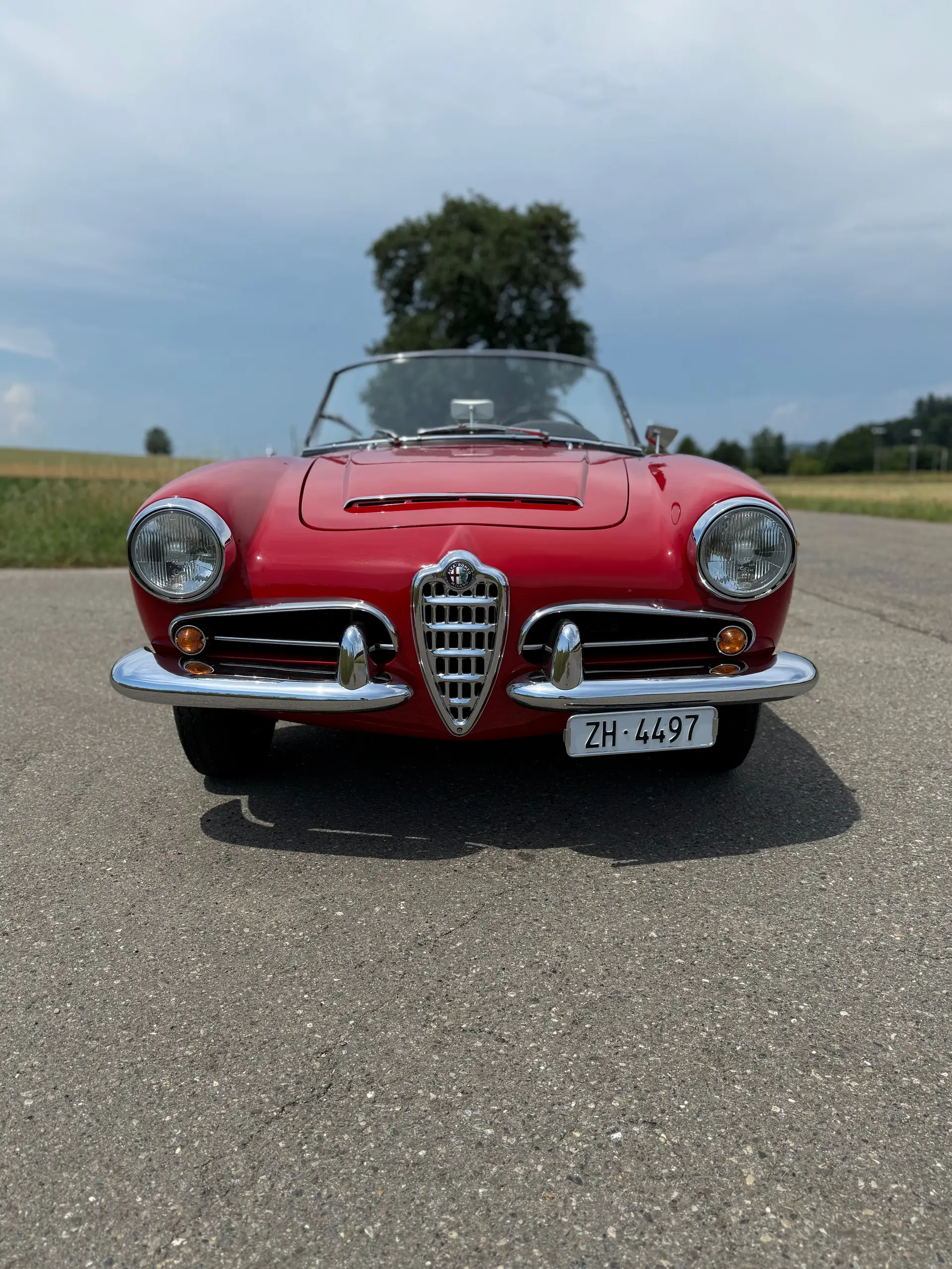 Alfa Romeo Giulia 1964 occasion Wangen — 3
