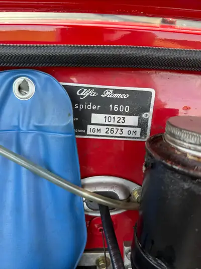 Alfa Romeo Giulia Spider 1600 — Cabriolet vintage 1964, sans accident, patrimoine automobile — Miniature 12