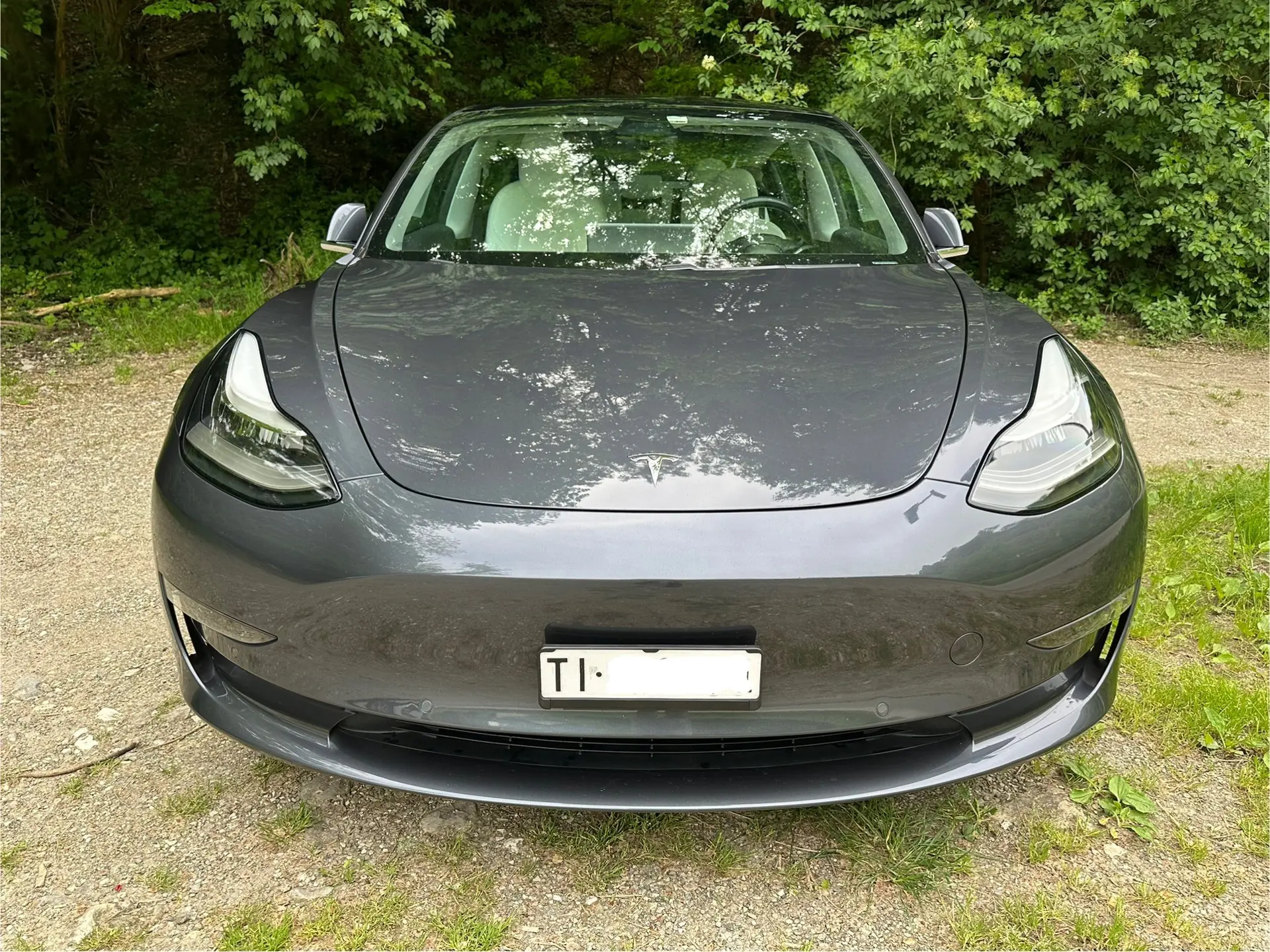 Tesla Model 3 2019 occasion Morbio Inferiore — 3