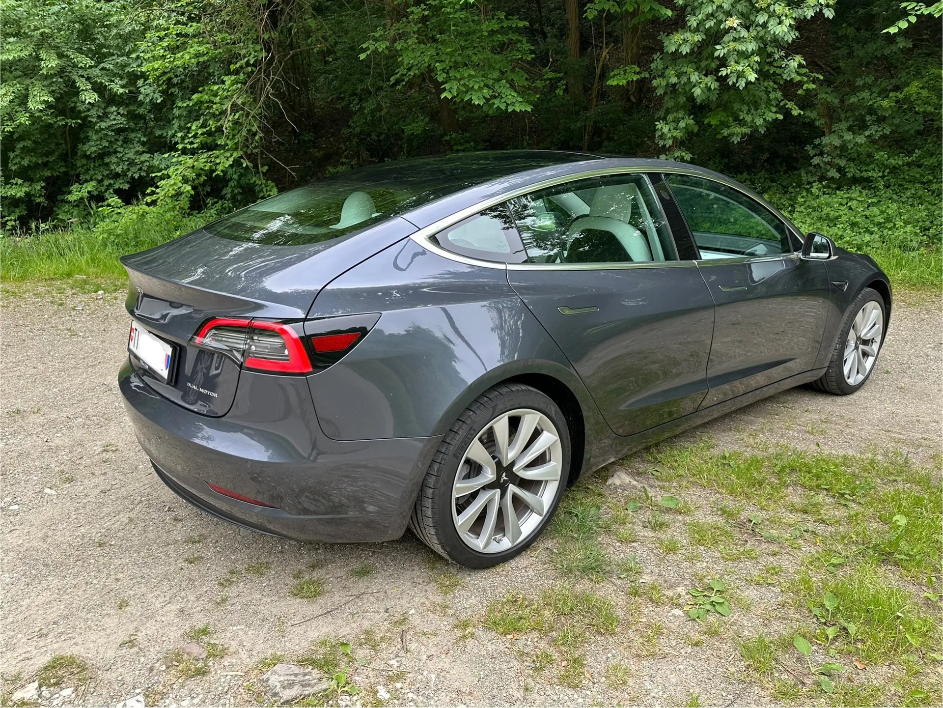 Tesla Model 3 2019 occasion Morbio Inferiore — 2