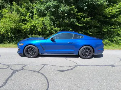 Ford Mustang Shelby GT350 — Légende américaine, 533 ch et seulement 29'900 km — Heckansicht