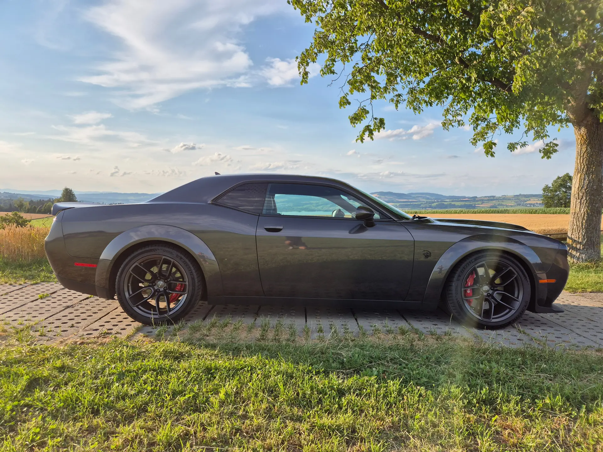 Dodge Challenger 2020 occasion Nottwil — 3