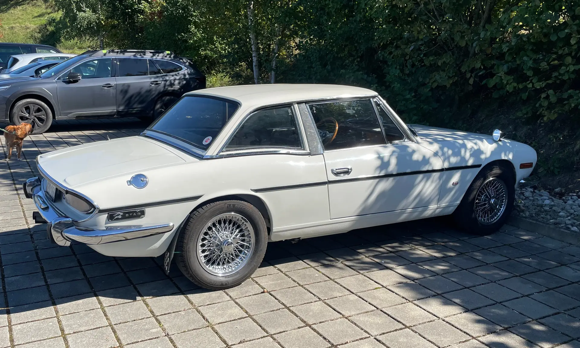Triumph Stag 1974 occasion Ligerz — 3