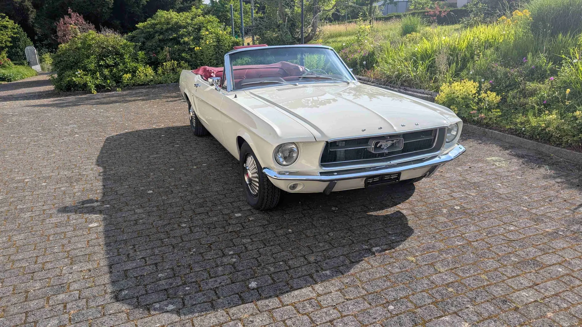 Ford Mustang 1968 occasion Langenthal — 2