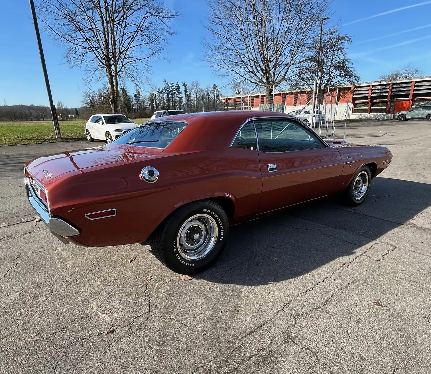 Dodge Challenger 1970 occasion Bremgarten — 5