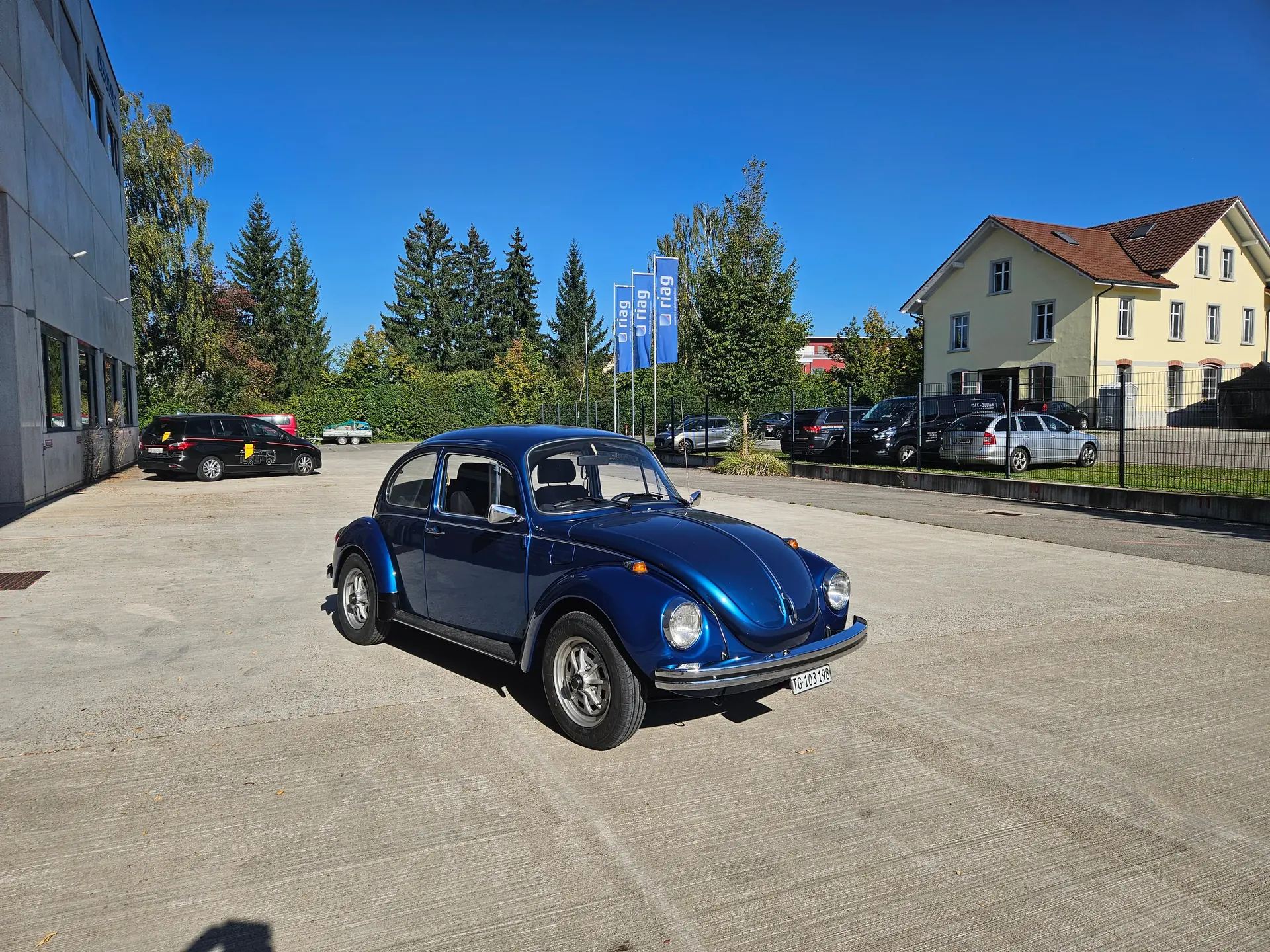 Volkswagen Kafer 1972 occasion Amlikon-Bissegg — 2