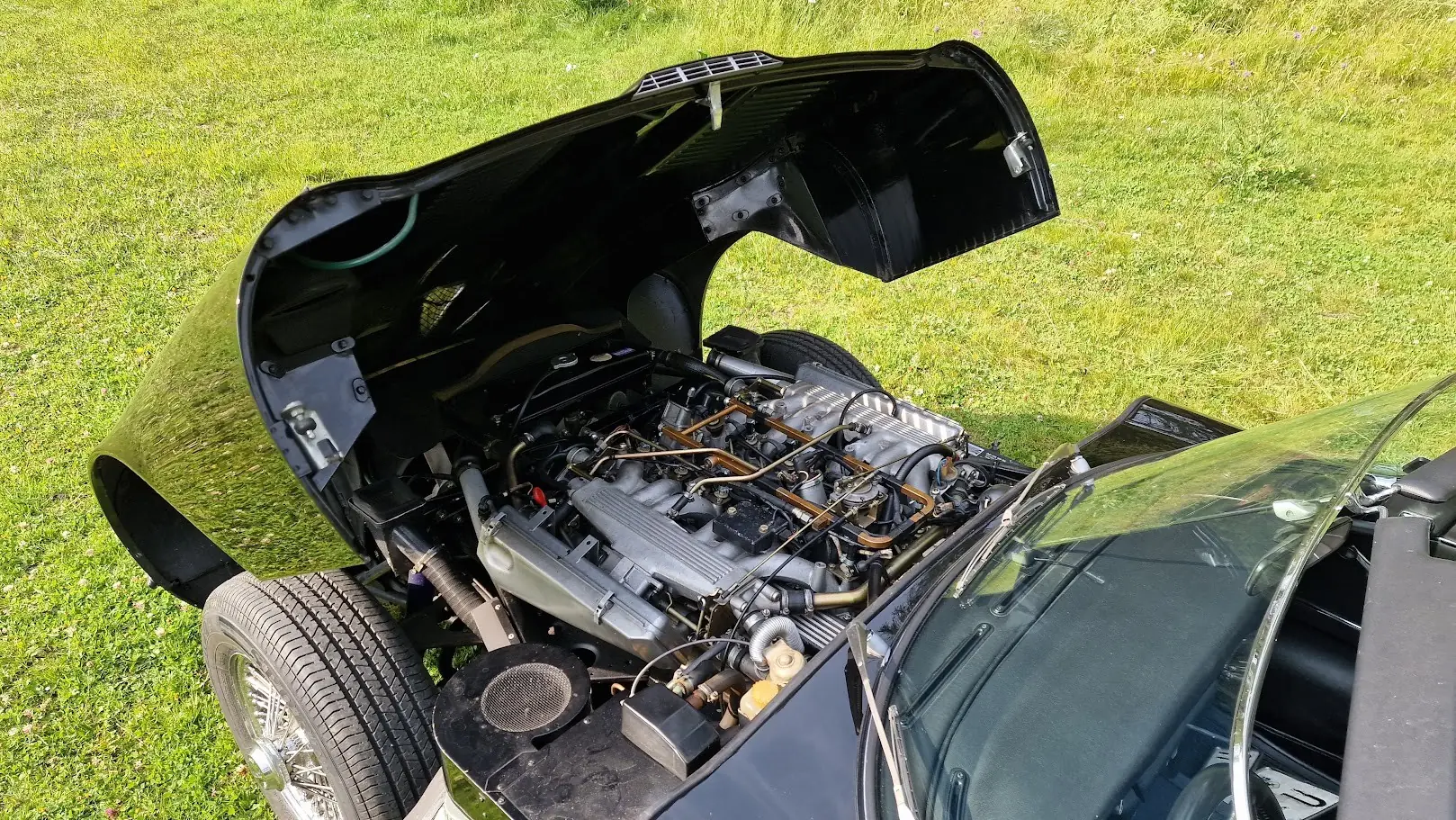 Jaguar E 1974 occasion Pontresina — 5