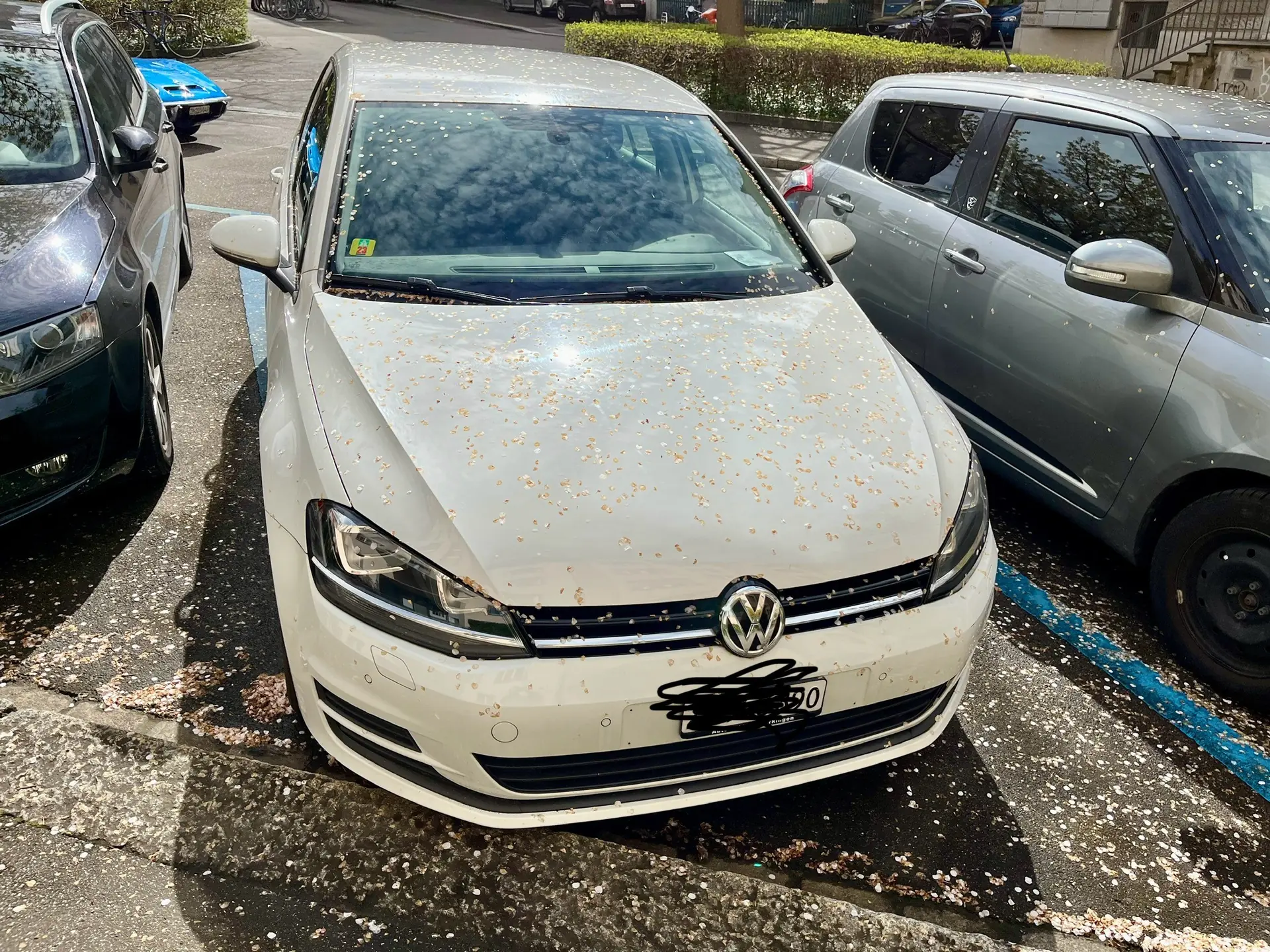 Volkswagen Golf 2015 occasion Stäfa — 5