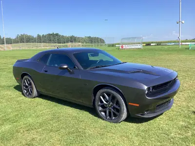 Dodge Challenger SXT 3.6 — Muscle-car américain, 309 ch et design intemporel — côté