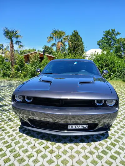 Dodge Challenger SXT 3.6 — Muscle-car américain, 309 ch et design intemporel — Miniature 14
