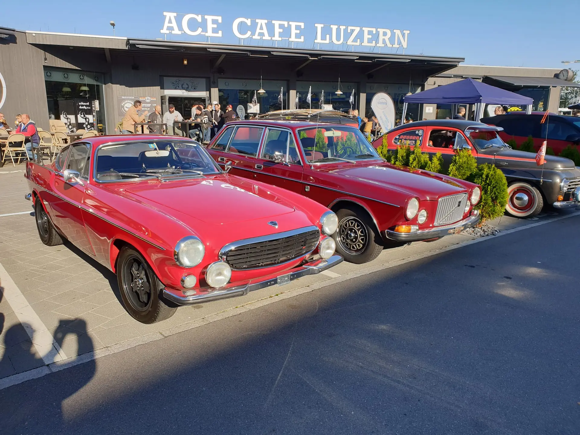 Volvo P1800 1970 occasion Neuenkirch — 5