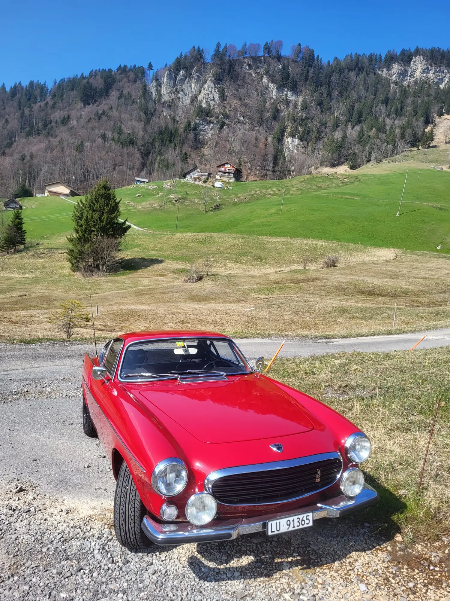 Volvo P1800 1970 occasion Neuenkirch — 4