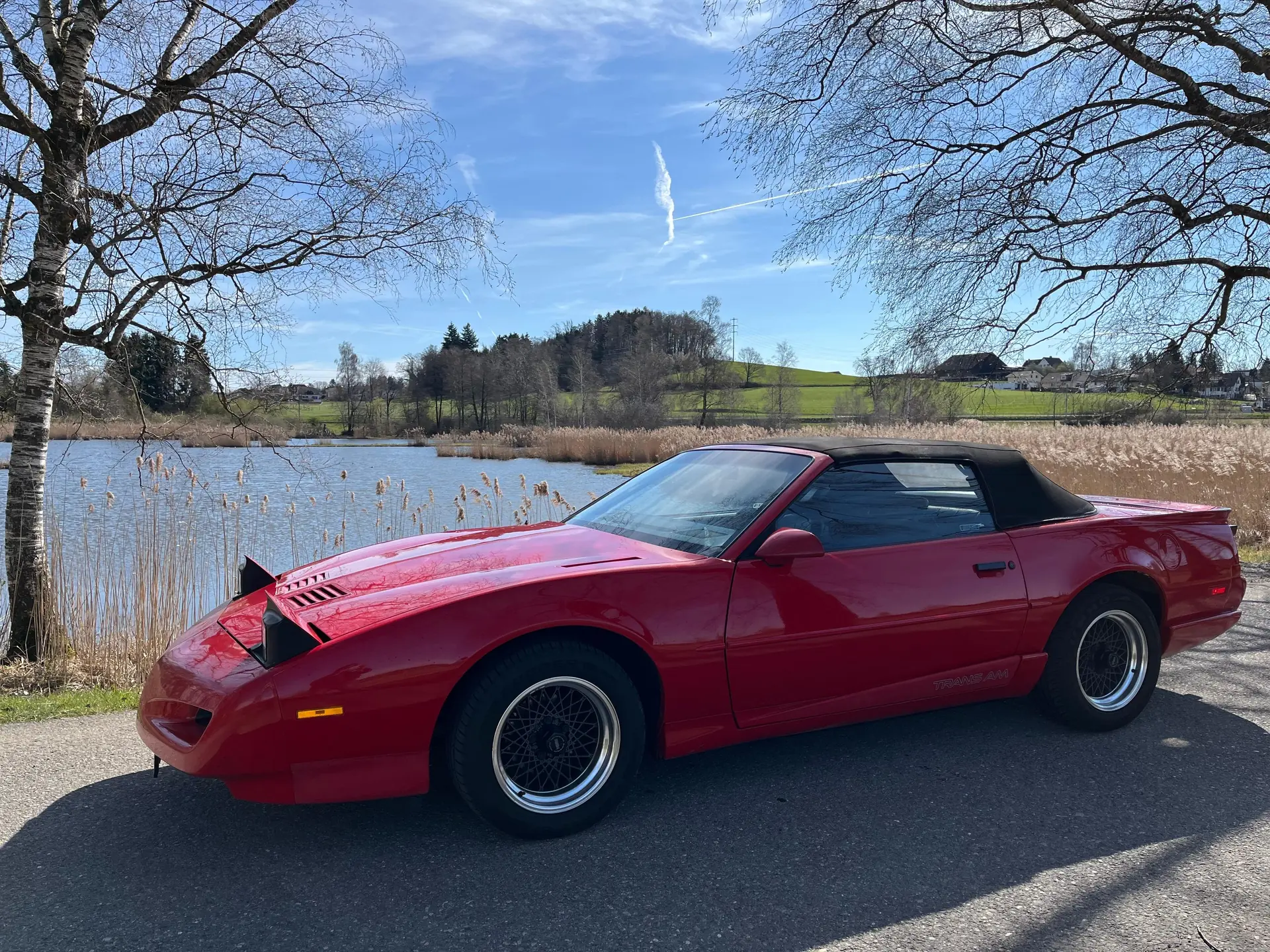 Pontiac Firebird 1991 occasion Friltschen — 3