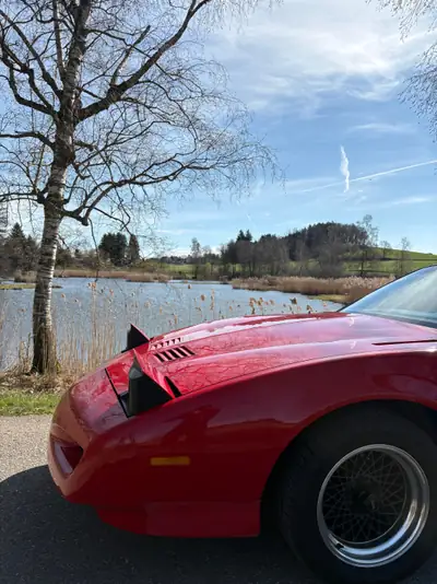 Pontiac Firebird 5.0 V8 Trans Am 1991 — Muscle car légendaire, statut vétéran — Miniature 11