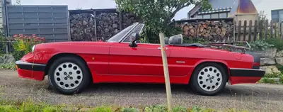 Alfa Romeo Spider 2.0 Aerodinamica 1989 — Cabriolet mythique, état d'origine exceptionnel — Armaturenbrett