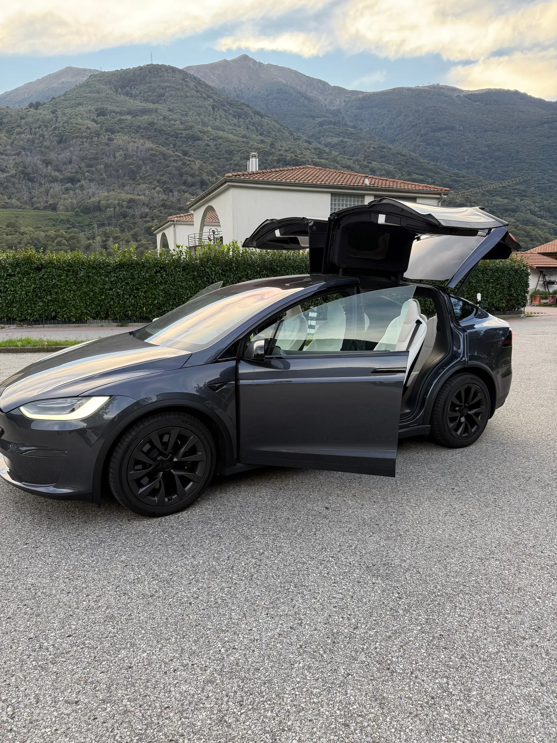 Tesla Model X 2023 occasion Camignolo — 2