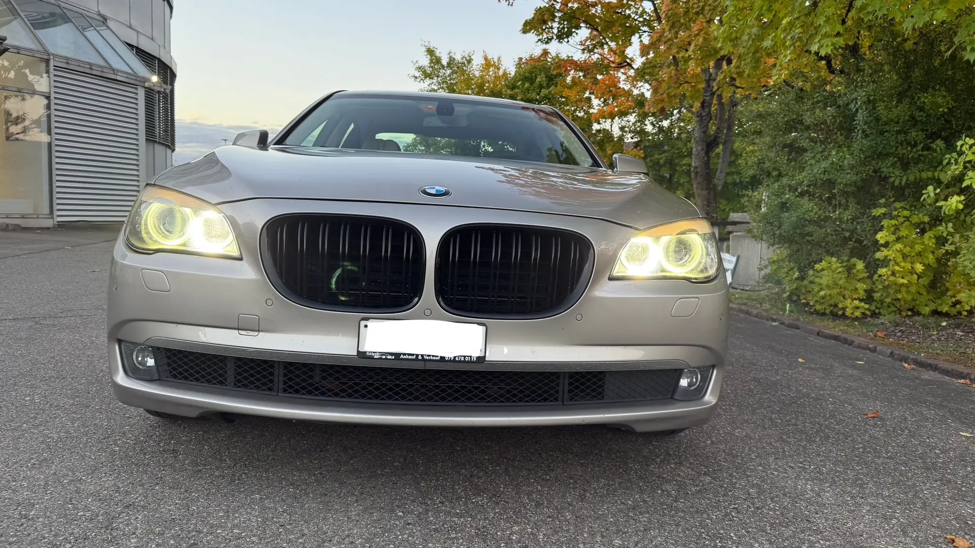 BMW 750 2009 occasion Cham — 2