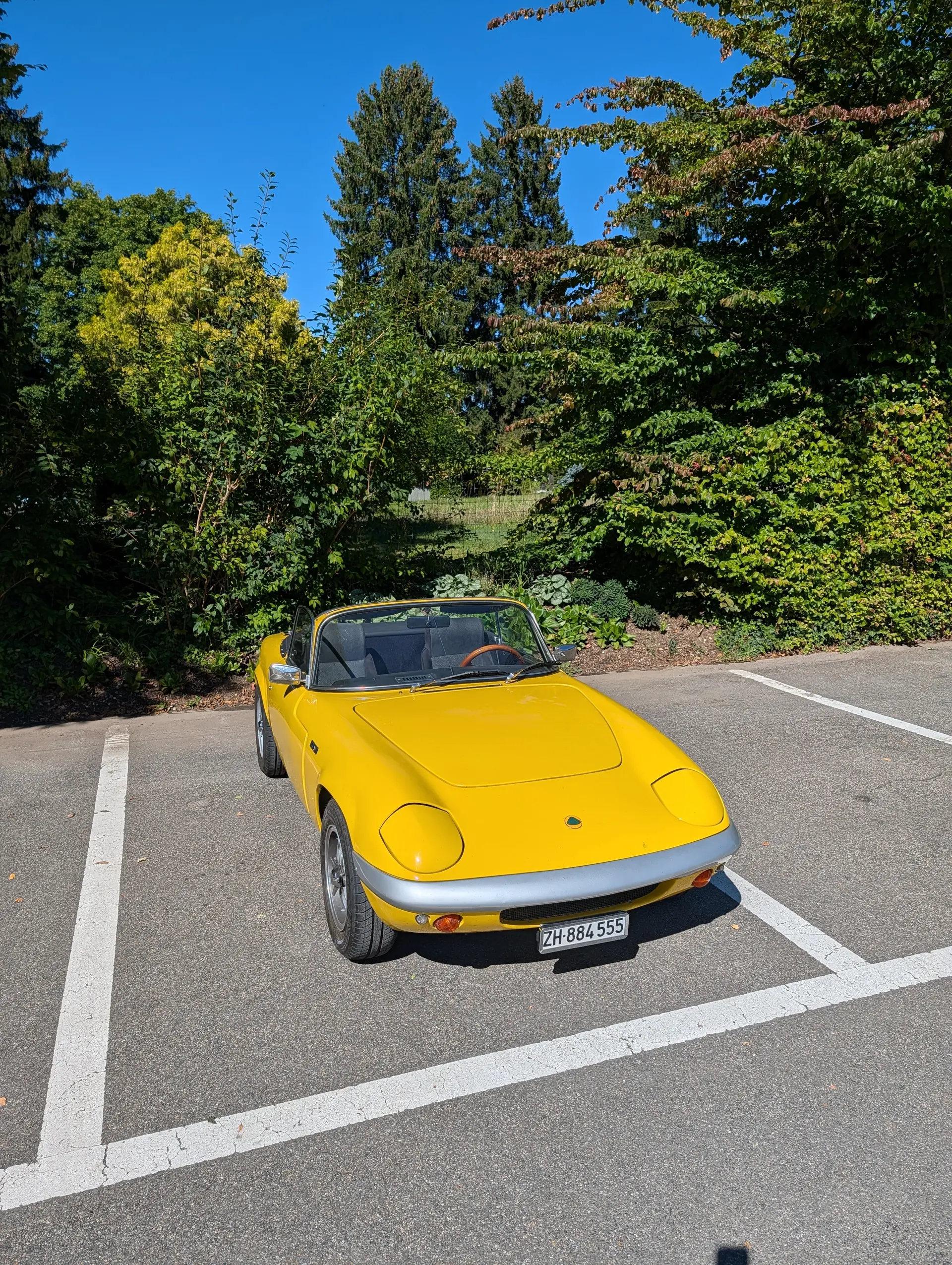 Lotus Elan 1969 occasion Bertschikon — 1
