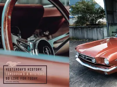 Ford Mustang Fastback 1966 — Légende V8 restaurée, icône des années 60 — Außenansicht