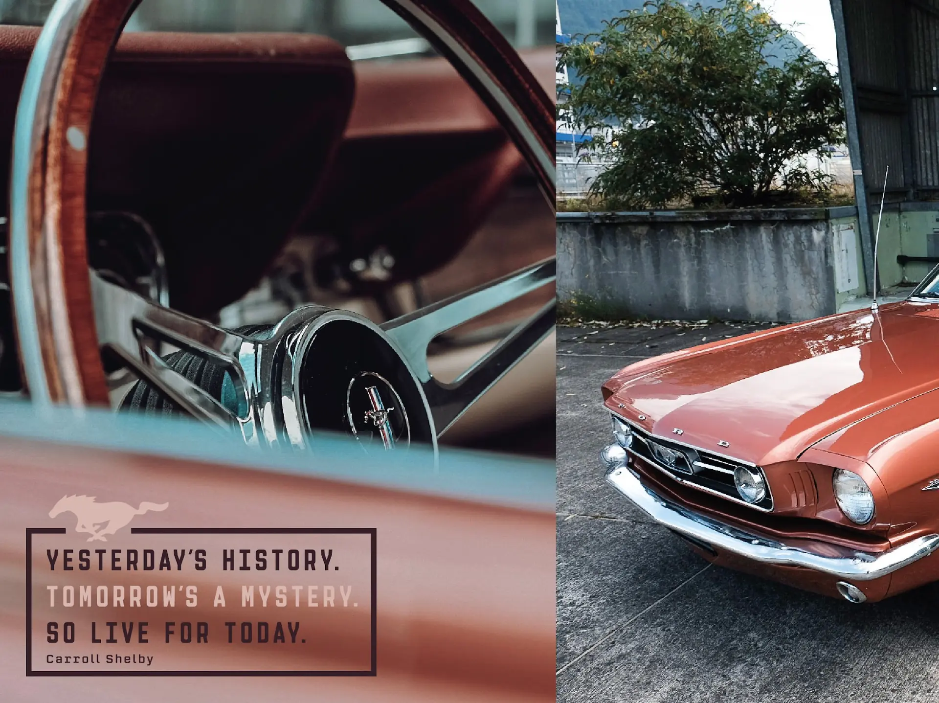 Ford Mustang Fastback 1966 — Légende V8 restaurée, icône des années 60 — Außenansicht