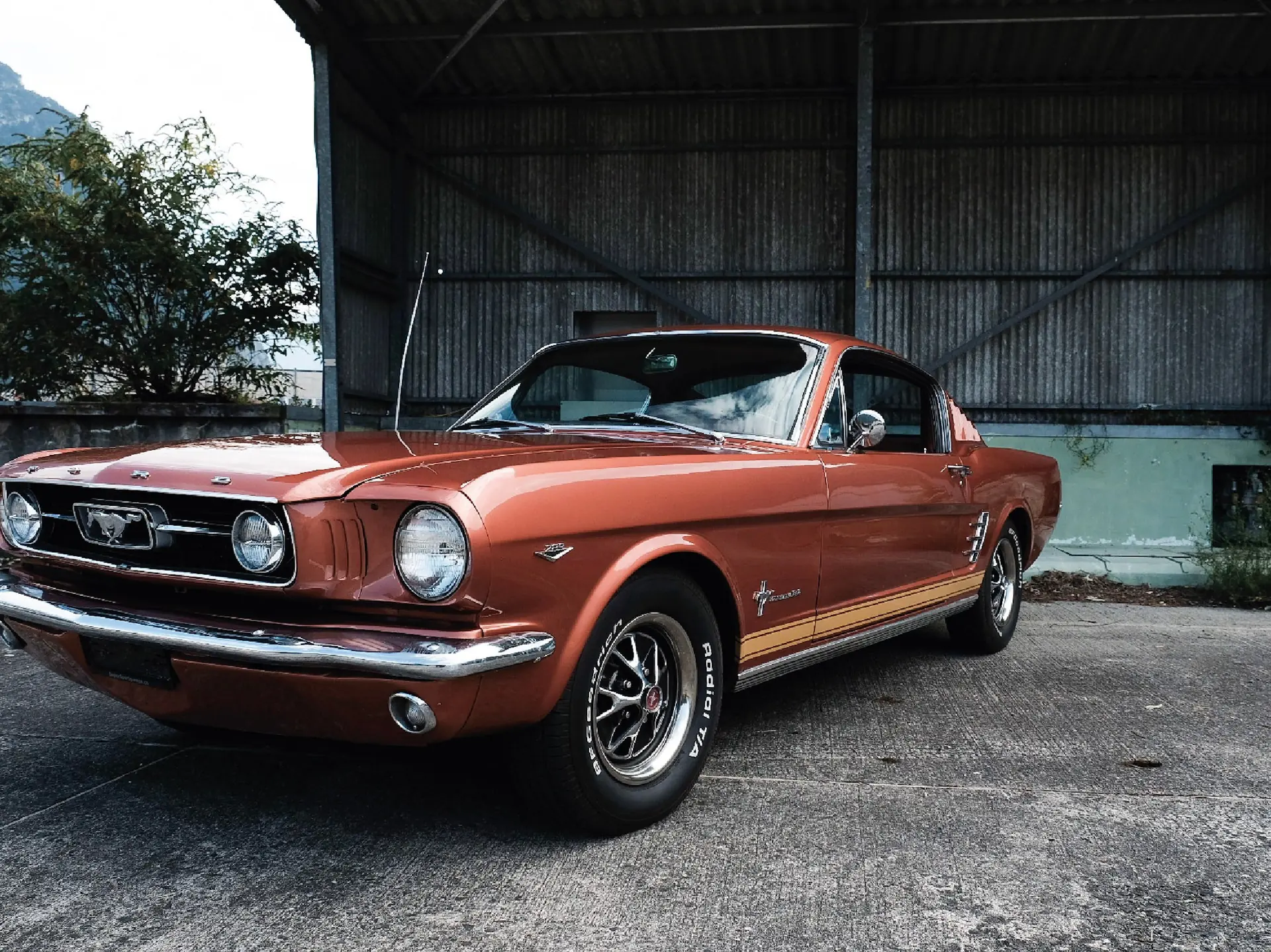 Ford Mustang 1966 occasion Flüelen — 2