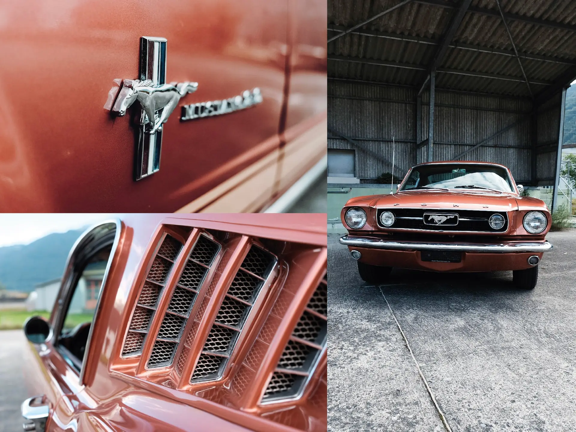 Ford Mustang 1966 occasion Flüelen — 4