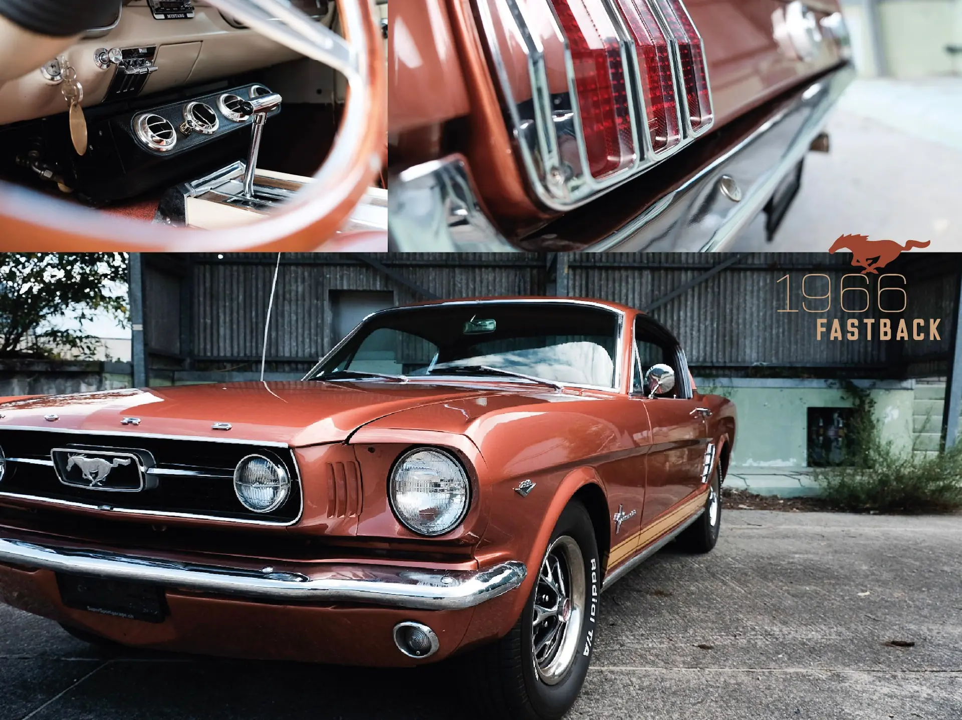 Ford Mustang 1966 occasion Flüelen — 5