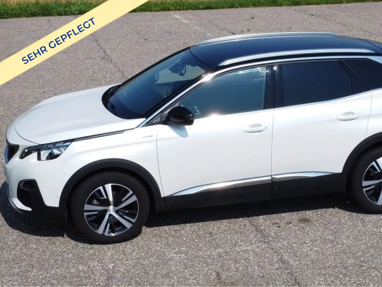 Peugeot 3008 2019 occasion Herznach — 1