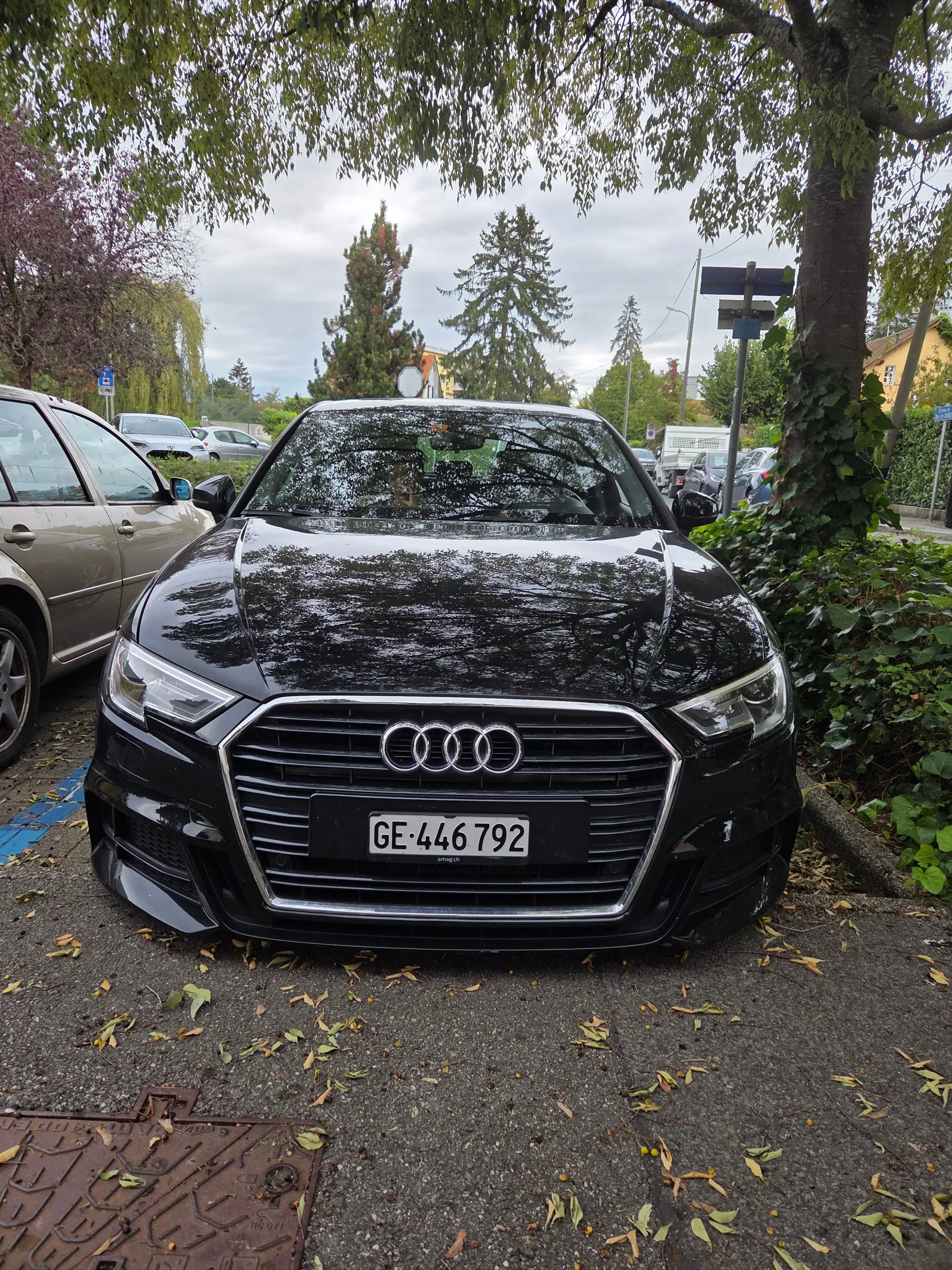 Audi A3 2020 occasion Corsier — 1