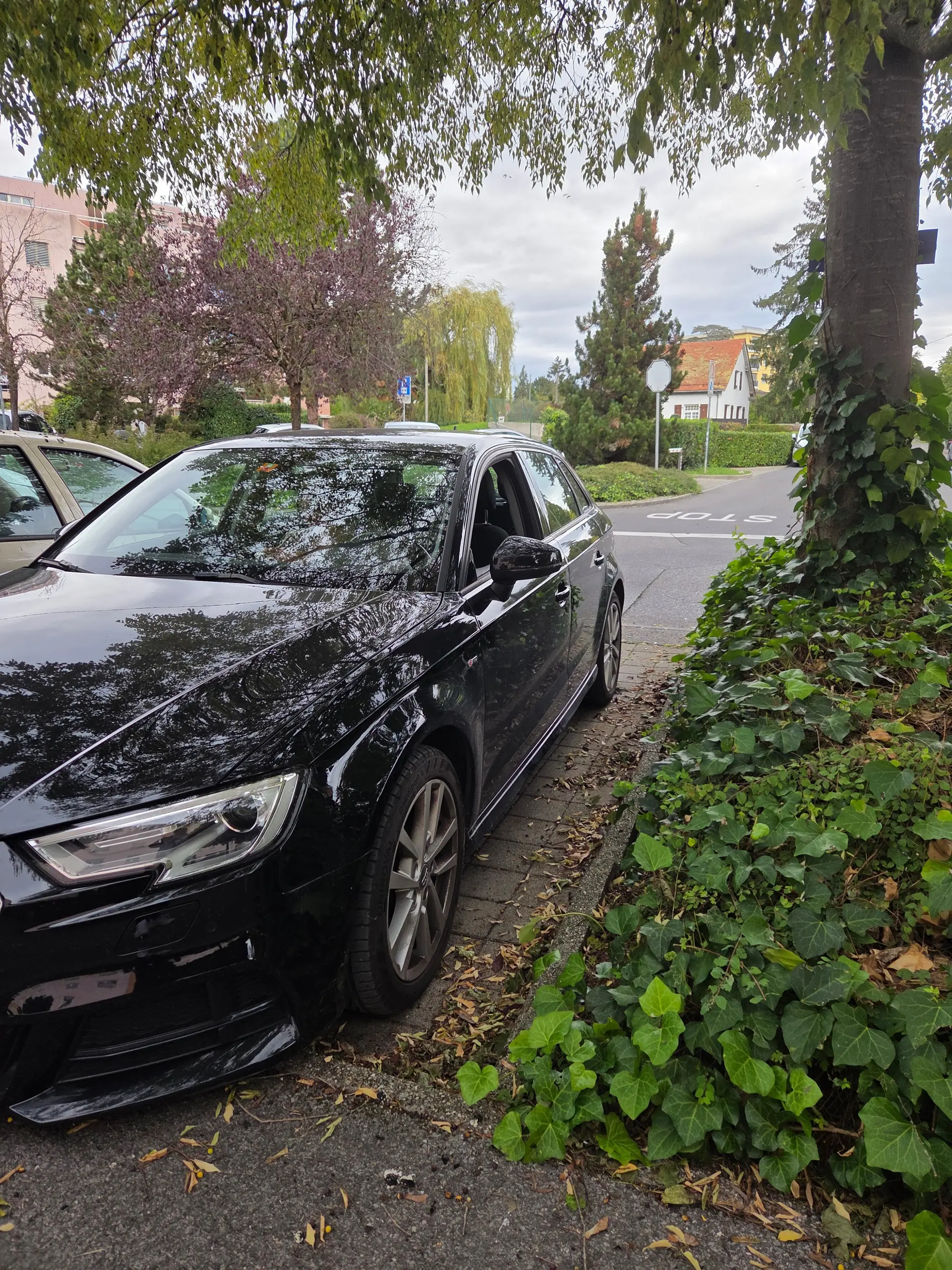 Audi A3 2020 occasion Corsier — 5