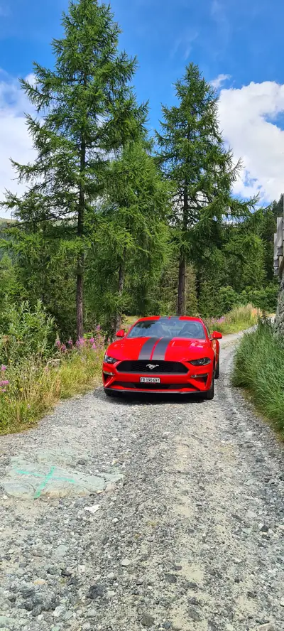 Ford Mustang Fastback 2.3 — Légende Américaine, Design Iconique et Motorisation Dynamique — vista posteriore